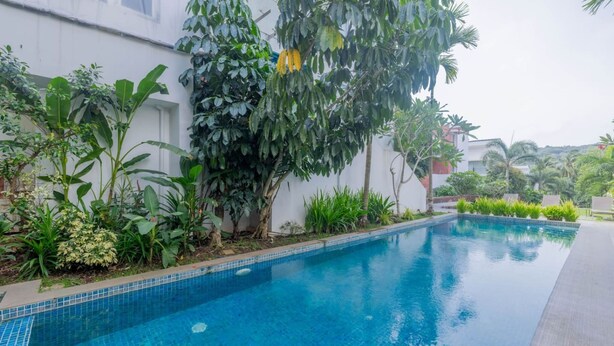 Piscina com borda azulejada, cercada por plantas e árvores.