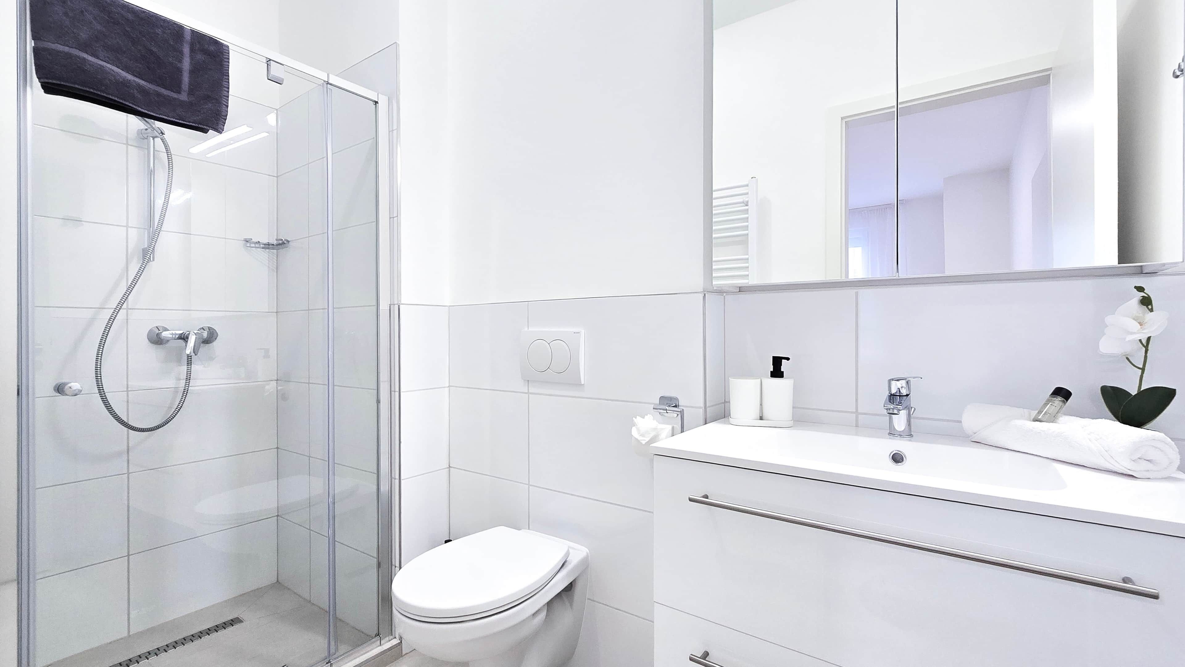A modern bathroom with a glass shower enclosure, a white toilet, and a vanity with a mirror.