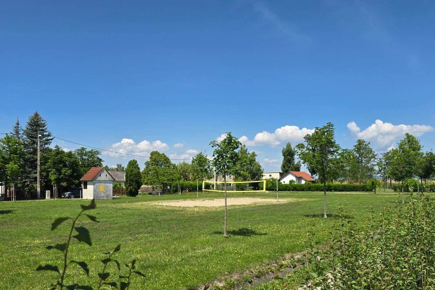 A grassy outdoor area with a volleyball net, surrounded by trees and houses.