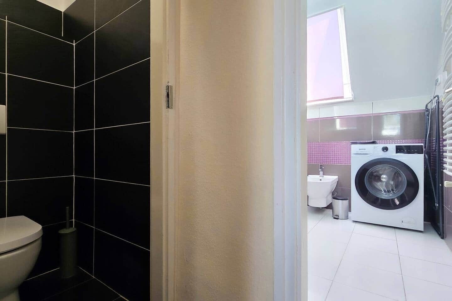Baño con inodoro, lavamanos y lavadora.
