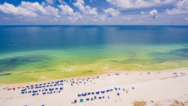 A beach with clear turquoise water, a sandy shore, and numerous umbrellas. - The Oasis 3003 Formerly Phoenix West Ii 3003 3 Bedroom Condo (Orange Beach)