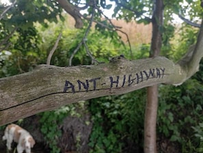 Un letrero de madera con la inscripción 'ANT-HIGHWAY' sujeto a una rama de árbol.