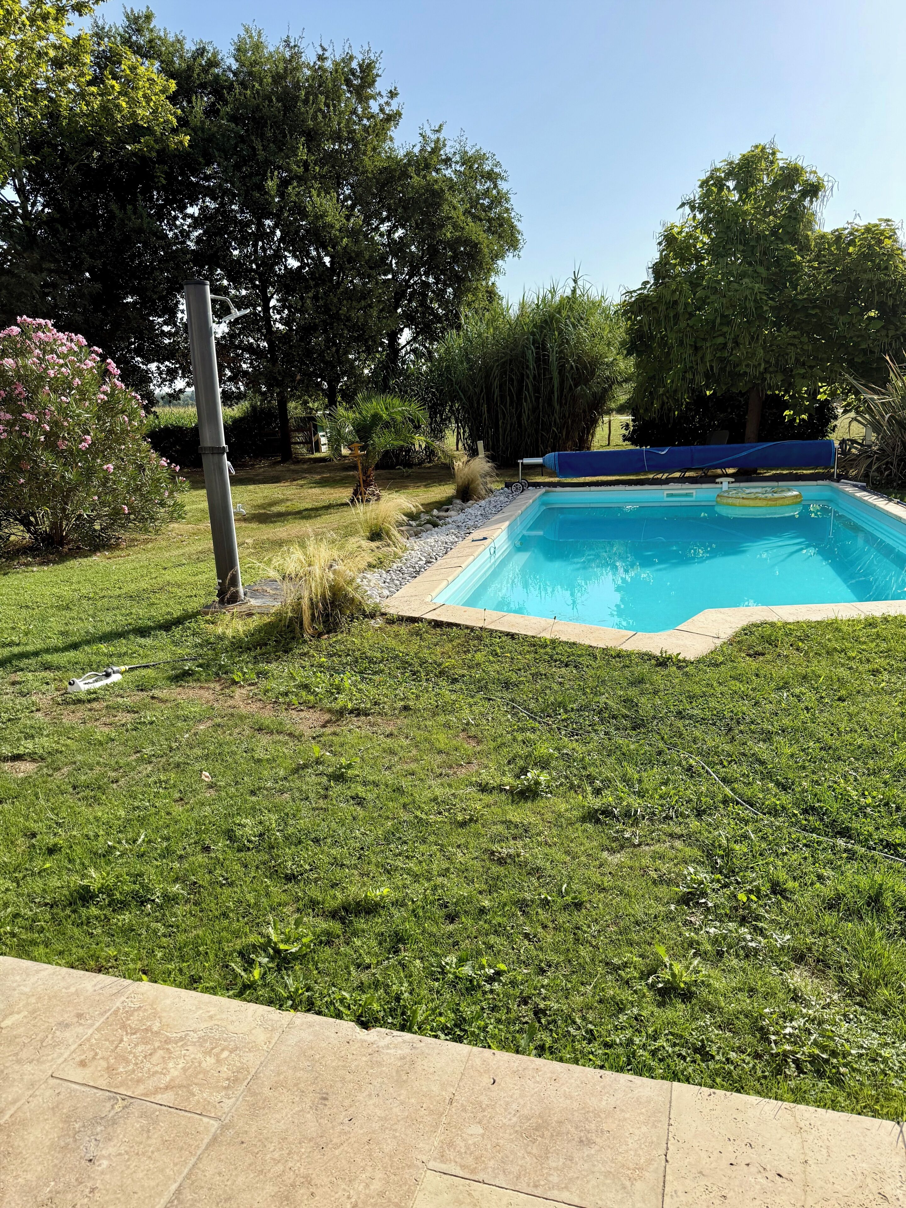 Una piscina rodeada de césped y árboles.