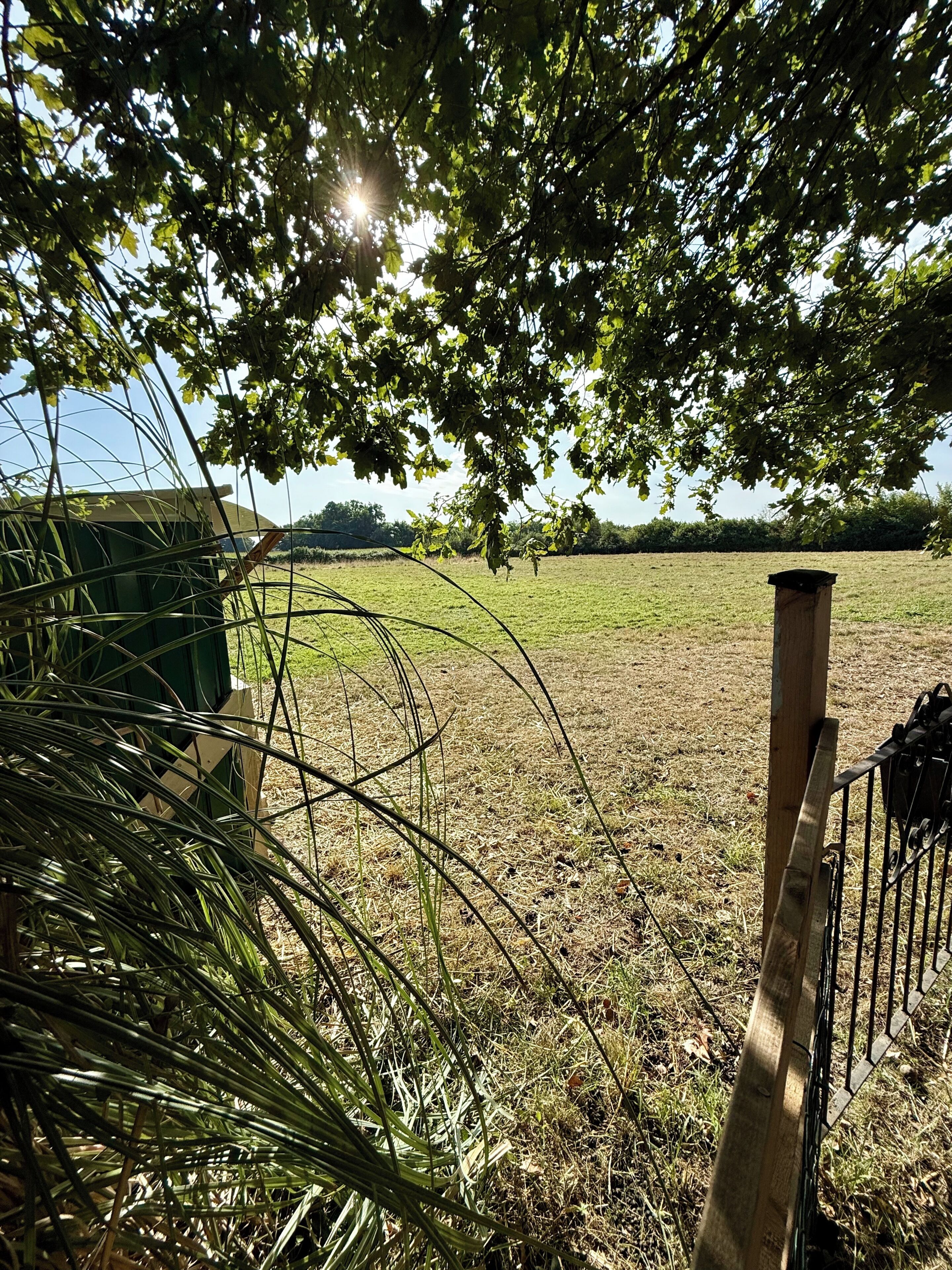 Un campo cubierto de césped con una valla de metal y un poste de madera.