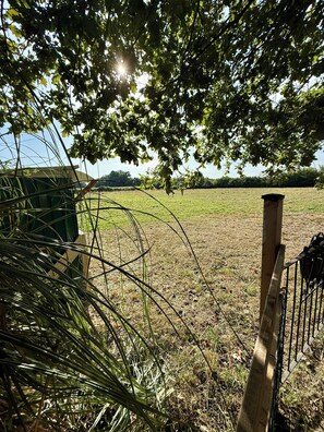 A grassy field with a metal fence and a wooden post. - Bed and Breakfast in a renovated farmhouse, swimming pool, peaceful setting, pets welcome, naturist (Lafitole)