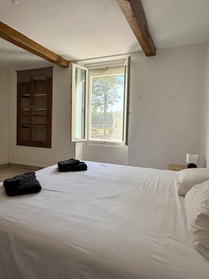 A bedroom with a large bed, a window with an open shutter, a wooden door, and a nightstand with a lamp. - Bed and Breakfast in a renovated farmhouse, swimming pool, peaceful setting, pets welcome, naturist (Lafitole)