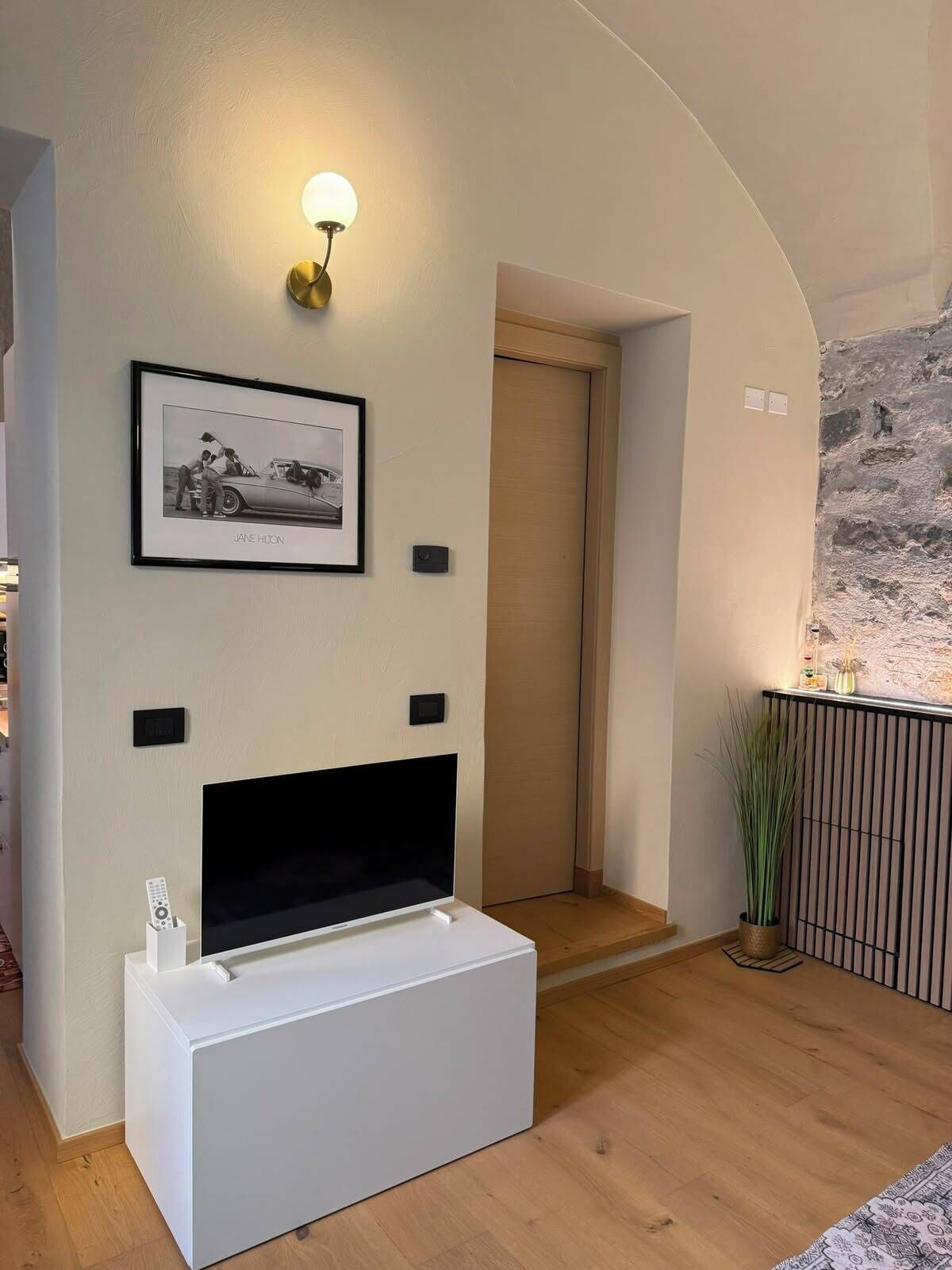 A modern living room with a flat-screen TV, a framed picture on the wall, and a small plant.