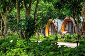 Cabañas tipo casa del árbol rodeadas de exuberante vegetación.