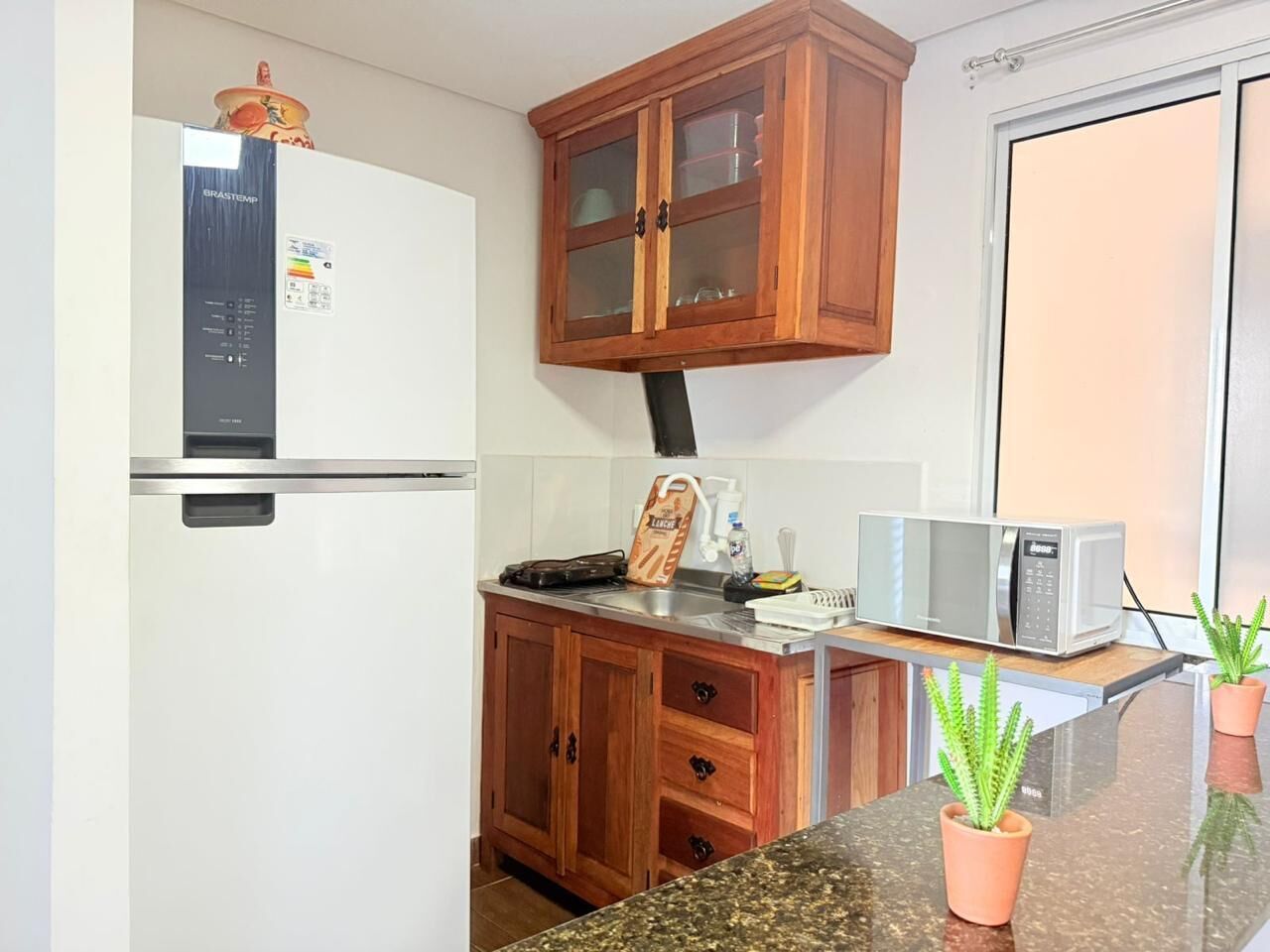 Cozinha com geladeira, micro-ondas, armários de madeira e bancada com plantas em vasos.