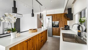Private kitchen - Kamelia Luxury Villa 1 (Crete)