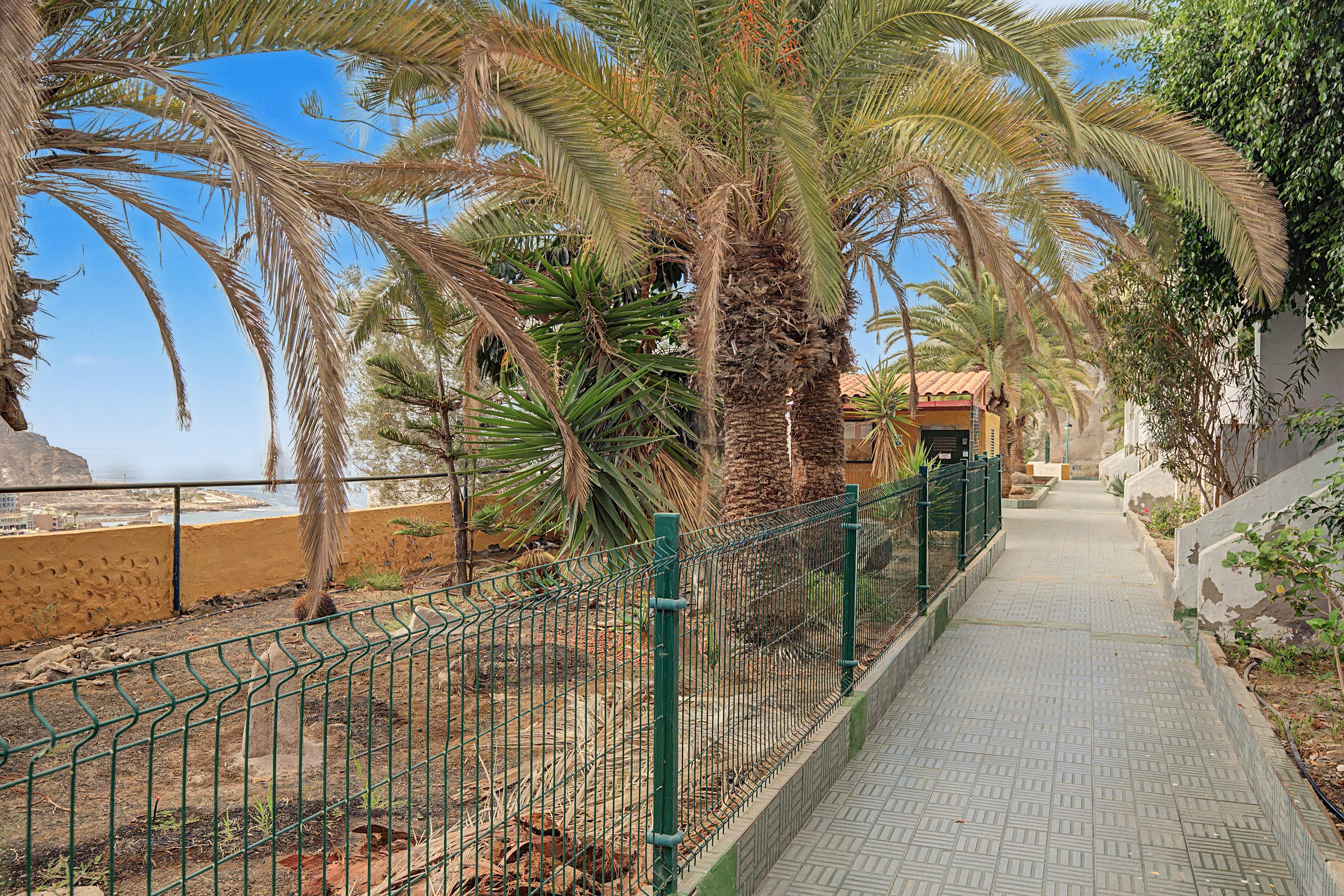 A pathway flanked by palm trees and a metal fence, leading to a building with a tiled roof.