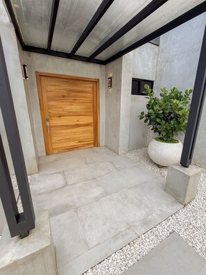 Ein moderner Eingangsbereich mit Holztür, Betonweg und einem Blumentopf.