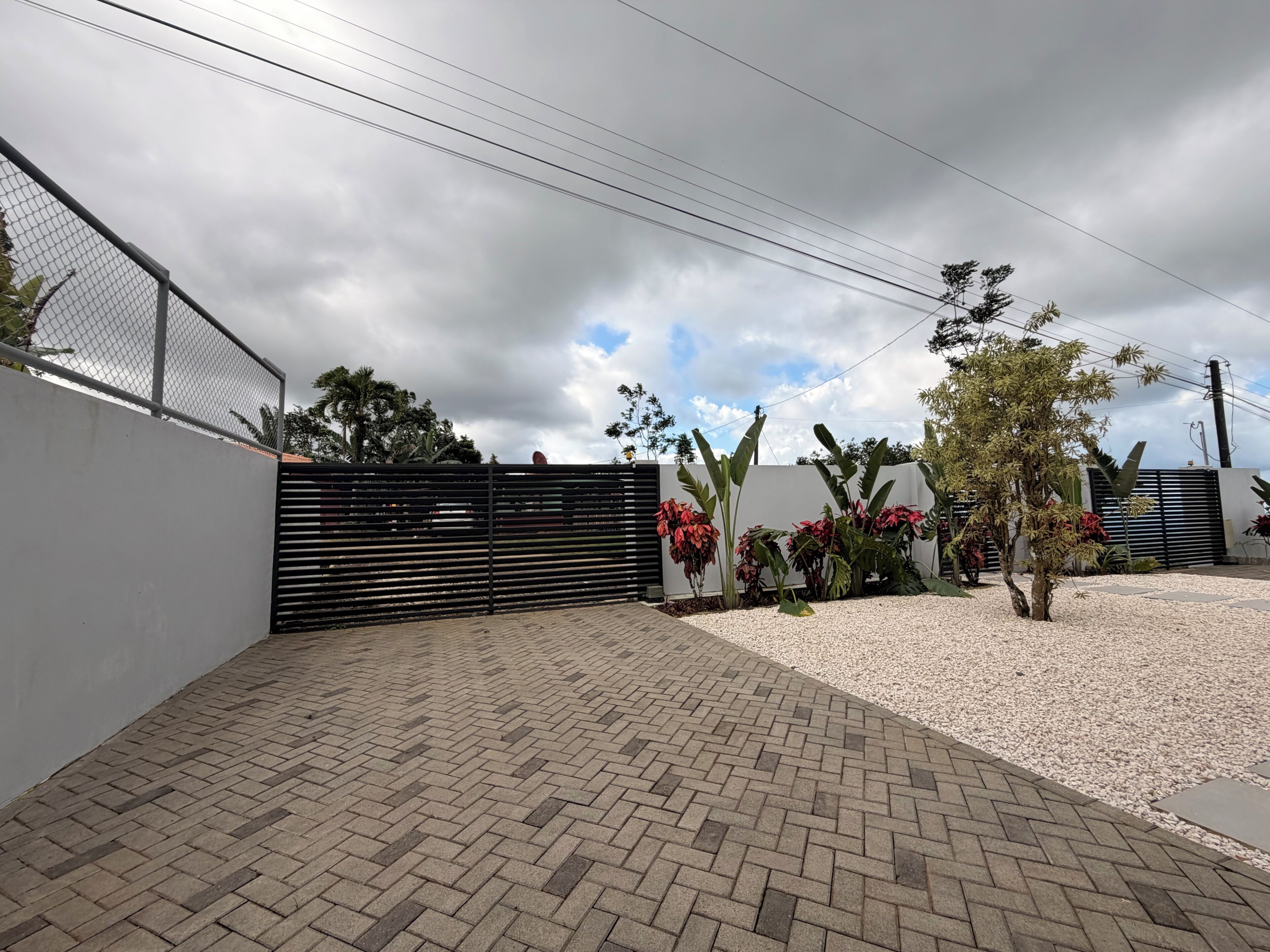 A paved outdoor area with a fence, a gate, and various plants.