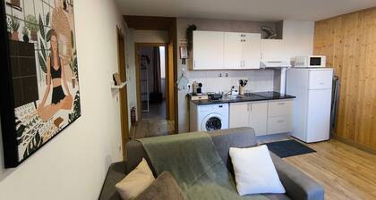 Casa Wood - Local Accommodation near Guarda's Historic Center