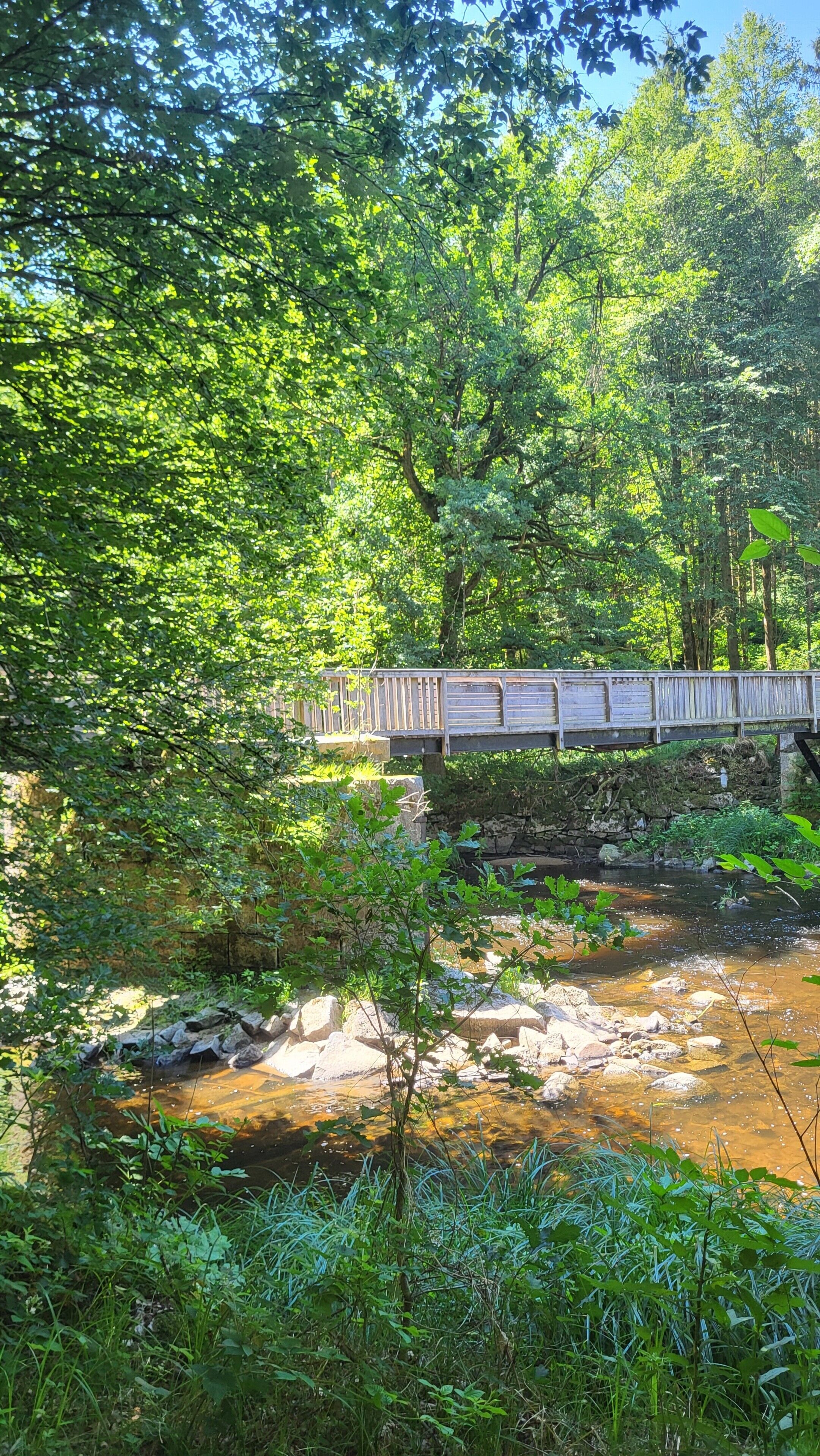 Un pont de bois enjambant un ruisseau, bordé de chaque côté par une végétation dense.