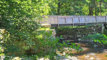Un pont de bois enjambant un ruisseau, bordé de chaque côté par une végétation dense.