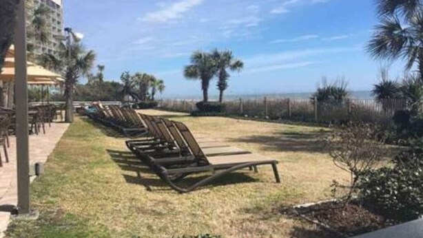 A row of sun loungers on a grassy area with a view of the ocean and a building in the background. - Beach Daze. Ocean view studio. (Myrtle Beach)