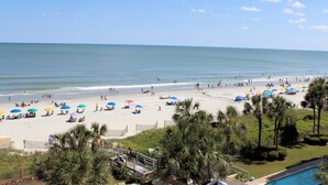 A beach with umbrellas, palm trees, and a pool. - Beach Daze. Ocean view studio. (Myrtle Beach)