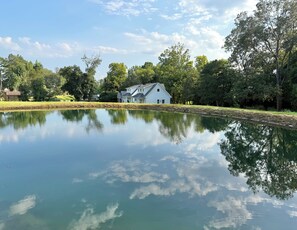 A house with a pond in front, surrounded by trees.