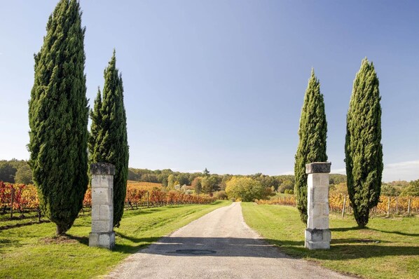 Miscellaneous - A charming house in the heart of the vineyards with an unobstructed view. (Sigoulès-et-Flaugeac)