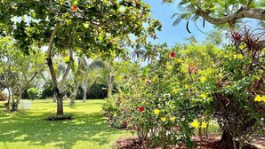 Un jardín exuberante con diversos árboles y plantas en flor.