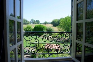 Vista attraverso una finestra con ringhiera metallica su un paesaggio verde con alberi e cielo sereno.