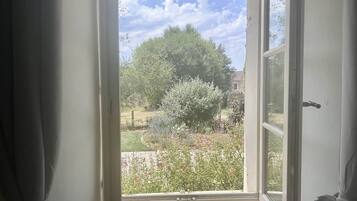 Janela aberta com vista para um jardim e uma árvore.