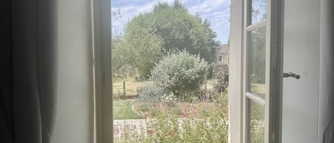An open window with a view of a garden and a tree.