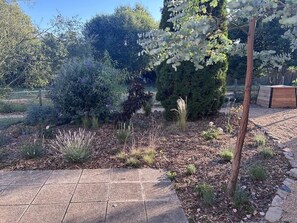 Un giardino con diverse piante e una struttura in legno.