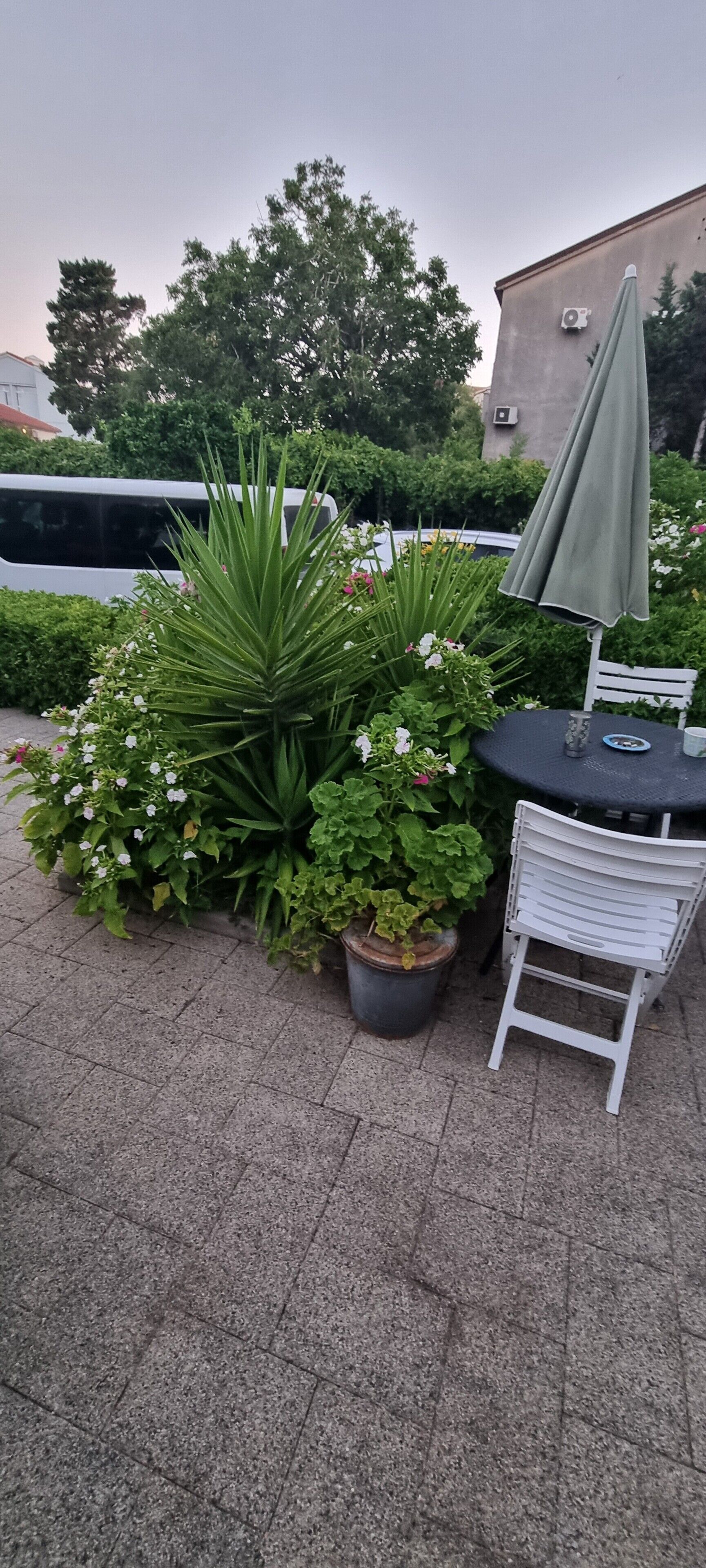 屋外ダイニングエリア
