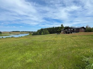 A house with a large lawn and a river in the background. - Serenity - Cottage on a private 4 acre waterfront lot surrounded by nature. (Kensington)