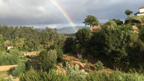 Un paisaje exuberante con un arcoíris, un bosque denso y un edificio en una colina.