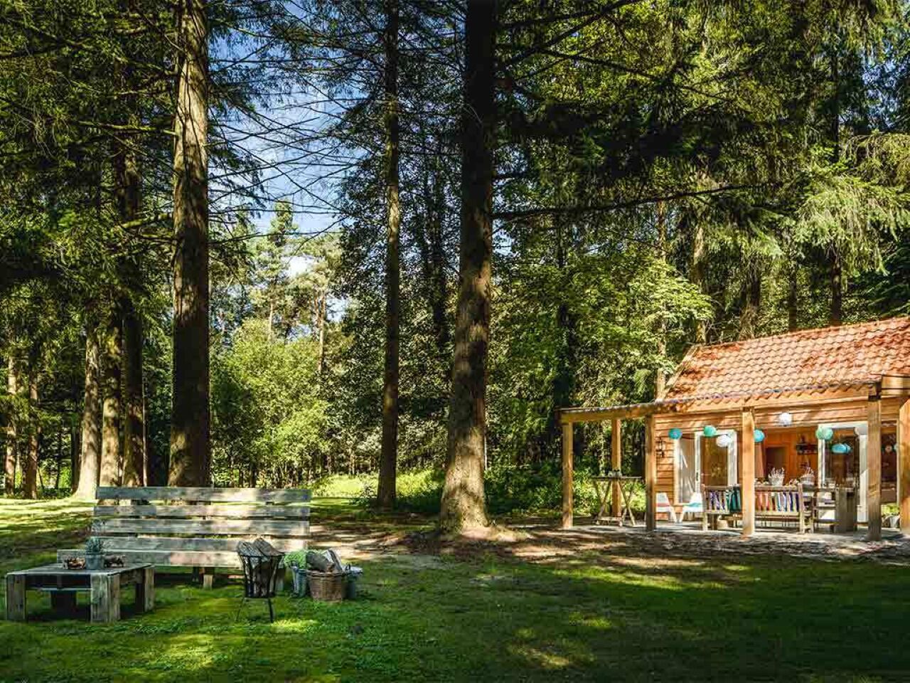 Terras