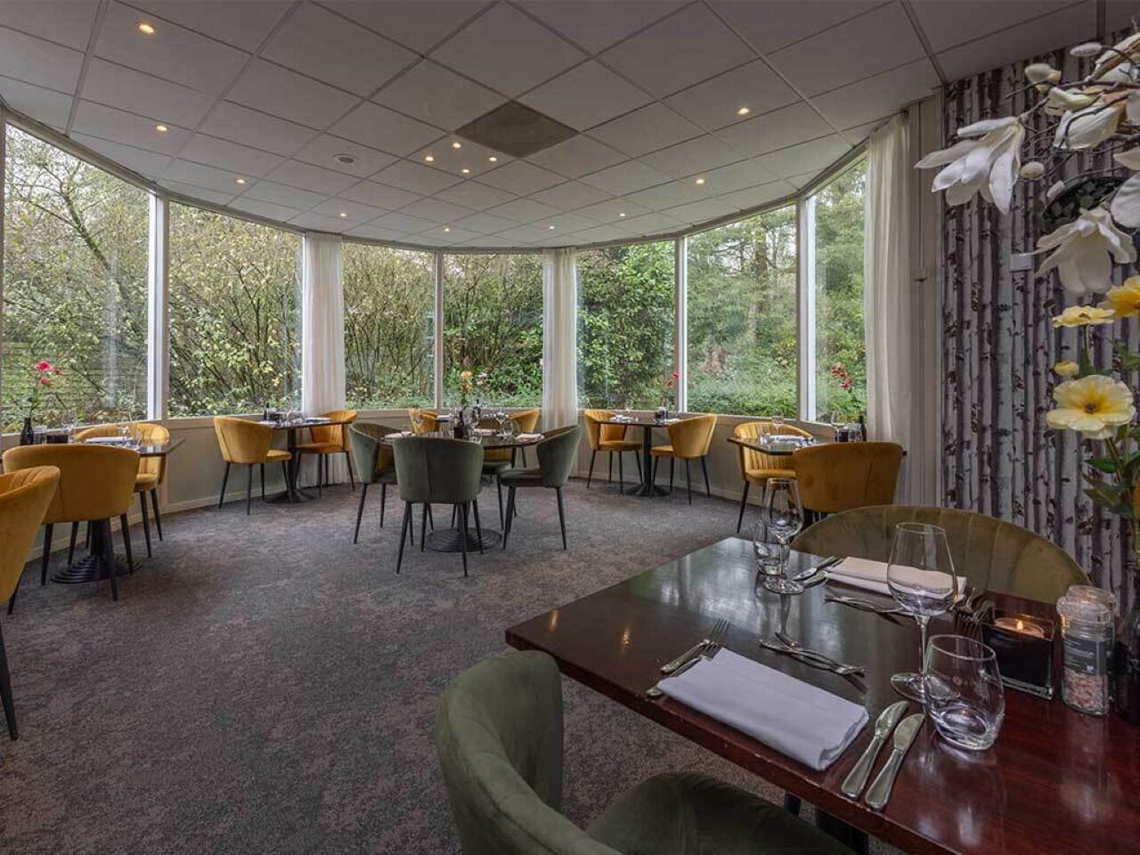 A restaurant with round tables and chairs, large windows with a view of trees, and a carpeted floor.