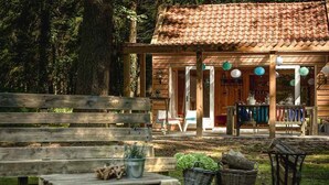 A rustic wooden building with a tiled roof, a covered outdoor seating area, and a bench in the foreground. - 2 Serene Stays with Terrace Near Cycling Paths in Iconic Veluwe Trails (Putten)