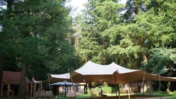 A campsite with tents and a small building, surrounded by trees.