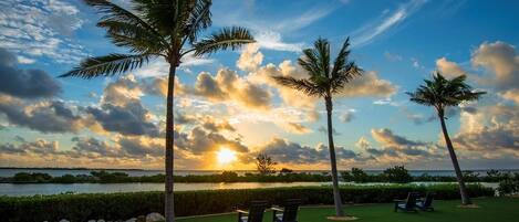 A sunset view with palm trees and chairs on a grassy lawn.