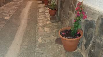 Uma passagem estreita com calçada de pedra, plantas em vasos e uma parede branca.