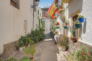 A narrow street with potted plants and a flag.