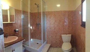 A bathroom with a glass-enclosed shower, a toilet, and a sink with a countertop.