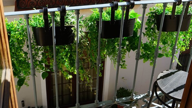 A balcony with a metal railing, potted plants, and a window with frosted glass. - Cozy and lovely apartment located in the historic center of Málaga. (Málaga)