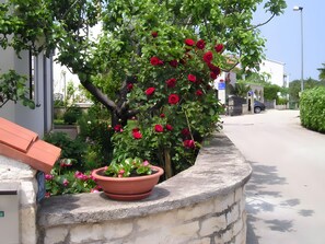 Une rue bordée d’une rangée de roses rouges plantées dans un jardin, un mur de pierre et un bâtiment à la façade blanche.