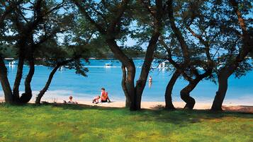A beach scene with trees, a clear sky, and a calm sea.