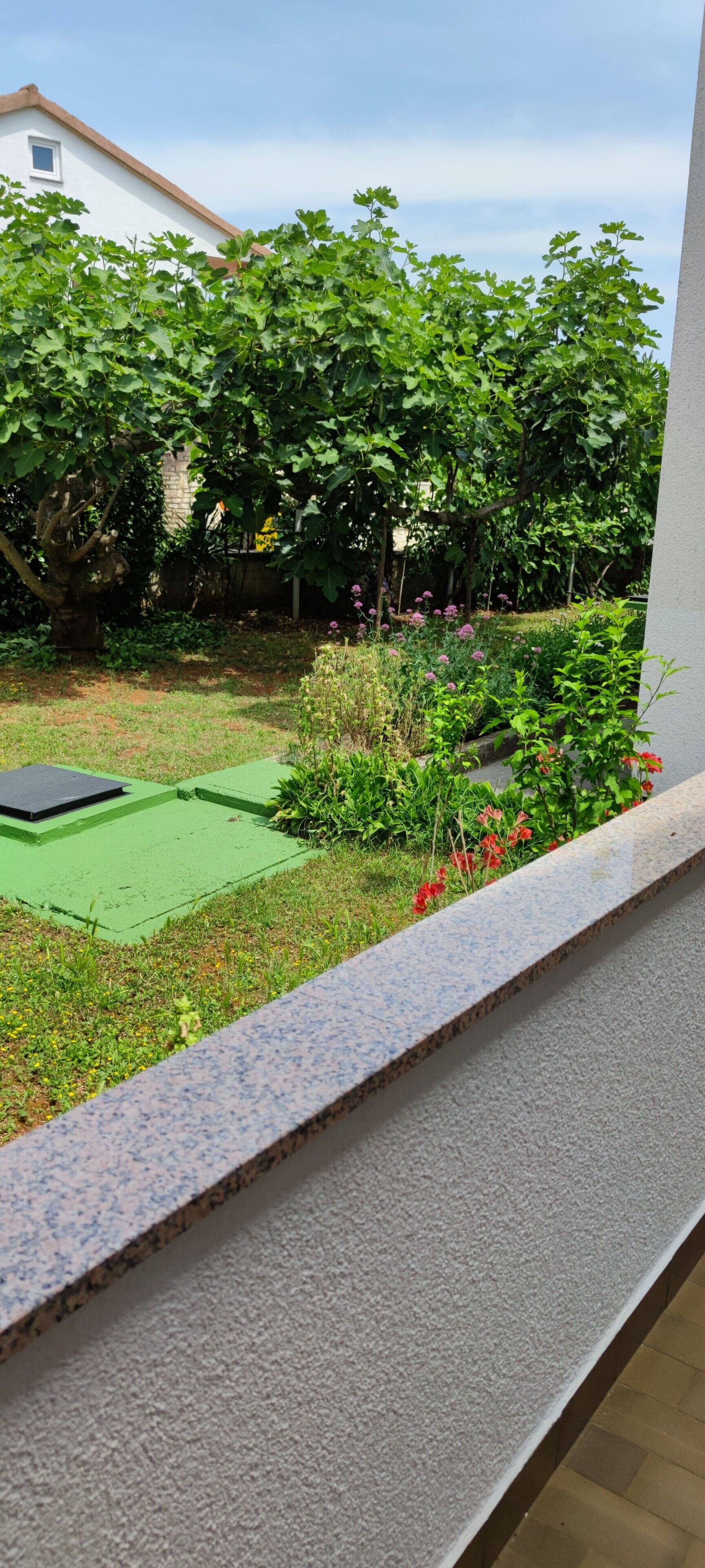 A view of a garden with a green lawn, a variety of plants, and a small structure.