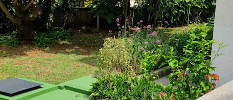 A view of a garden with a green lawn, a variety of plants, and a small structure.