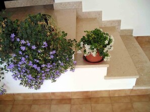 Eine Treppe mit einem Blumentopf auf der Zwischenebene.