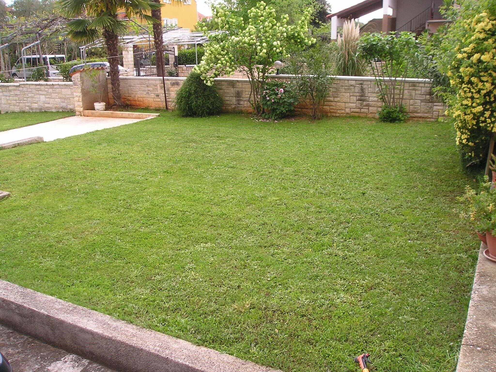 A well-maintained lawn with a stone wall and various plants.