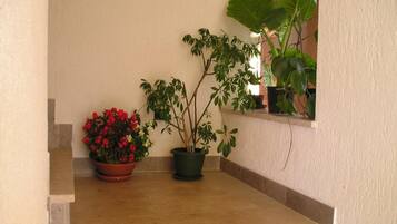 A small outdoor area with a concrete bench, two potted plants, and a wall.