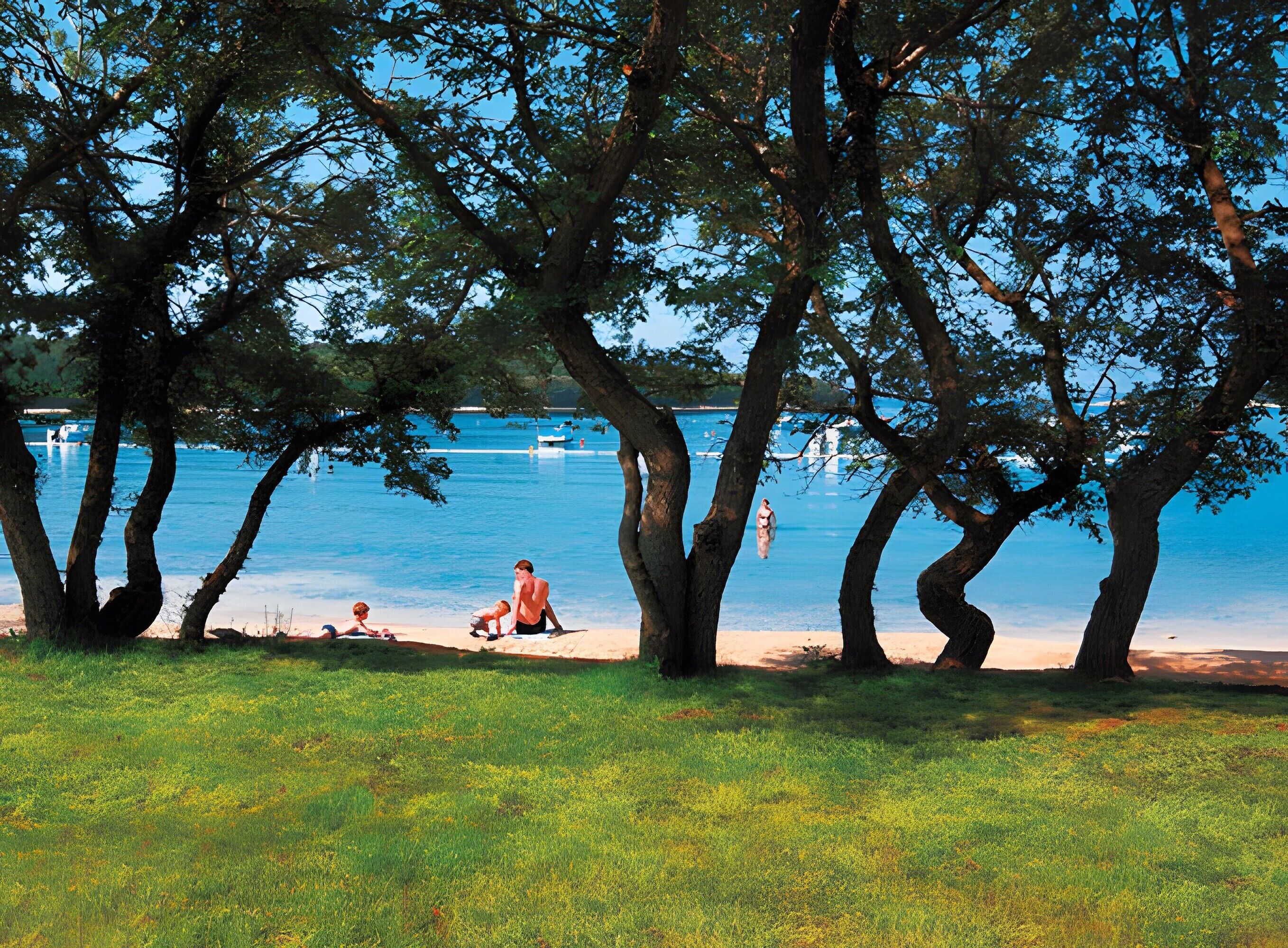 A beach scene with trees, a clear sky, and a calm sea.