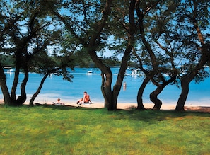 Eine Strandansicht mit Bäumen, blauem Himmel und ruhiger See.